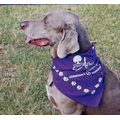 Standard Imported Light Blue Triangle Bandanna